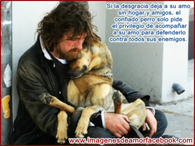 Imágenes con frases para reflexionar 18 imagenes para reflexionar compartir en facebook