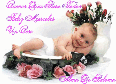 Imágenes con frases feliz miércoles con gif 36 miercoles