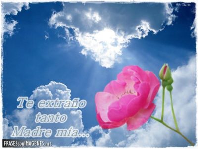te-extrano-madre-mia1