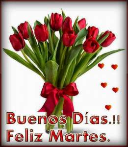 buenos días feliz martes frases positivas