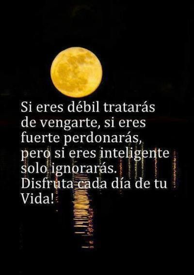 Imágenes con frases eres muy inteligente 13 5cfce552d6e11135781bf21817873b48