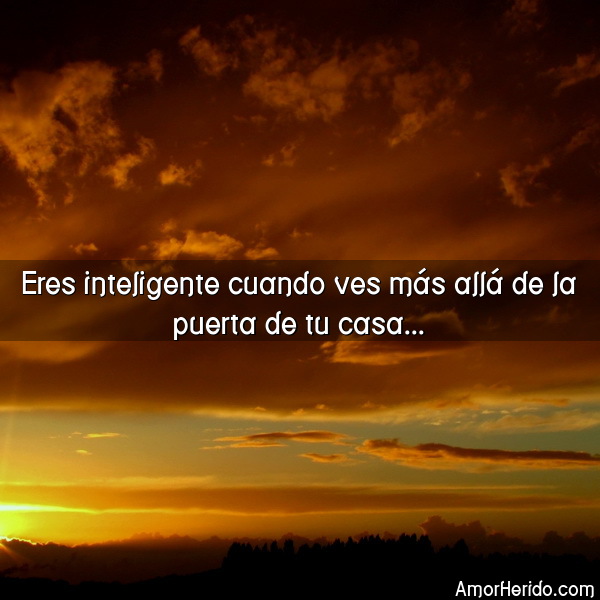 Imágenes con frases eres muy inteligente 14 7158_eres-inteligente-cuando-ves