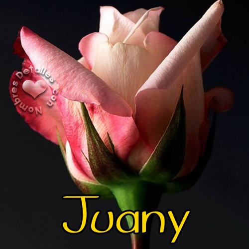 Juany-rosa-detalles con nombres