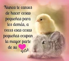 Imágenes con frases no te canses de amar 13 images (1)