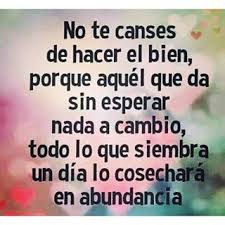 Imágenes con frases no te canses de amar 15 images