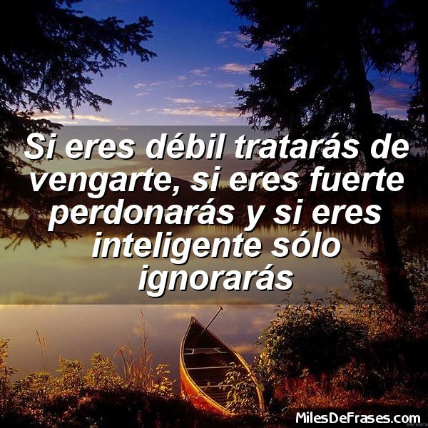 Imágenes con frases eres muy inteligente 20 milesdefrases.com_frases_en_fotos_4485_2