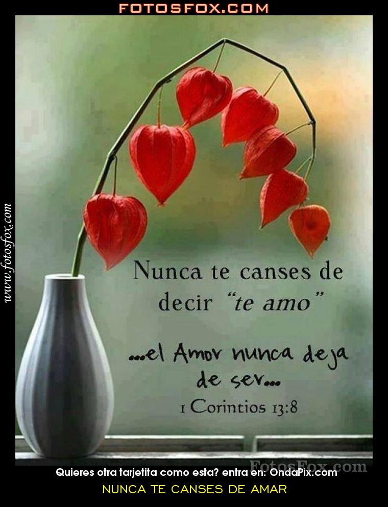 Imágenes con frases no te canses de amar 19 nunca-te-canses-de-amar