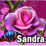 sandra rosas con nombres de mujer 150x150 Imágenes de pascuas con frases de navidad