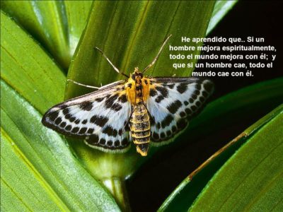 Imágenes con frases no te canses de amar 20 slide_5