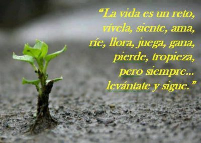 Imágenes con frases la vida cada día es un reto 16 17432