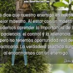 7325 se dice que nuestro enemigo es nuestro mejor