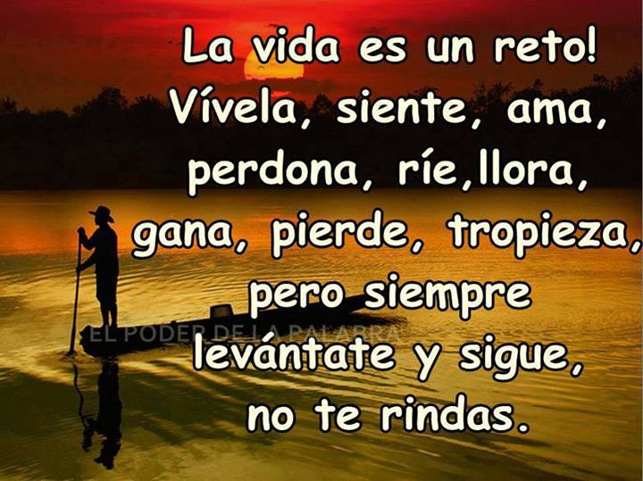 Imágenes con frases la vida cada día es un reto 15 9738