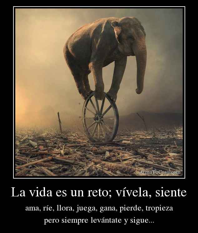 Imágenes con frases la vida cada día es un reto 18 armatucoso-la-vida-es-un-reto-vivela-siente-2589295