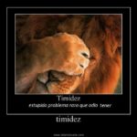 bd8b7398ce138829b5cb2121af46949f001918