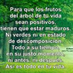 linea de arboles