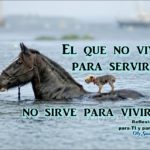 perrito
