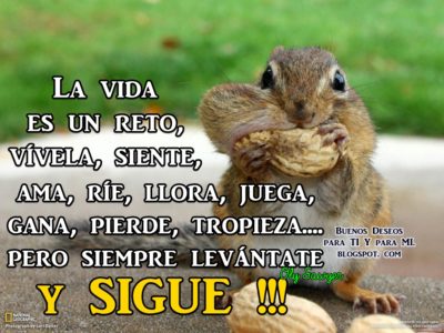Imágenes con frases la vida cada día es un reto 23 vida1