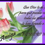 FLORES MORADAS 2