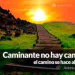descarga 7