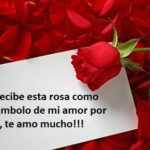 fotos de rosas con frases de amor