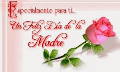 Imágenes con frases para las madres 14 frases-para-el-dia-de-las-madres-4