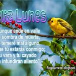 FELIZ INICIO DE SEMANA 5