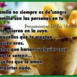 bloggerimage709785890