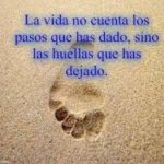 descarga 6