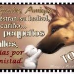 frases para mis amigos