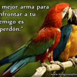 imagenes de con frases de amigo para facebook