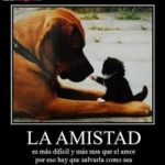 images 1 1