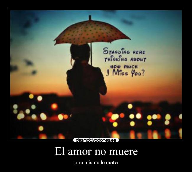 Imágenes con frases cuando muere un amor 12 cuando muere el amor -