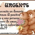 te mando todo mi amor con todas las fuerzas