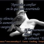 ca82640e94199ff8c131dc61e3e69dfd