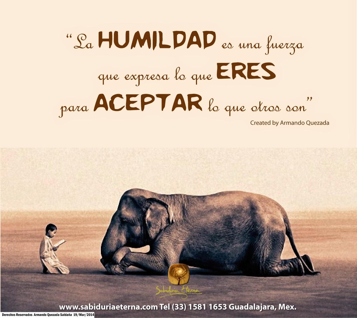 frases de humildad - elefante